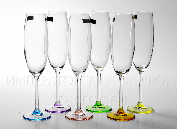 Goblets set for champagne Harlequin 6/6 GASTRO