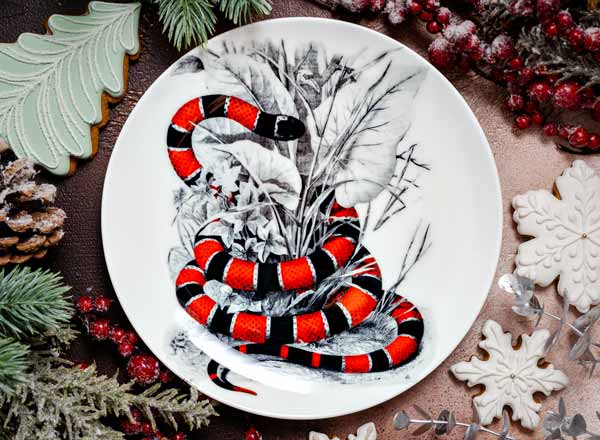 Decorative plate Unknown artist Coral snake