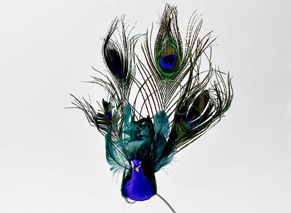 Christmas tree toy Peacock with an open tail