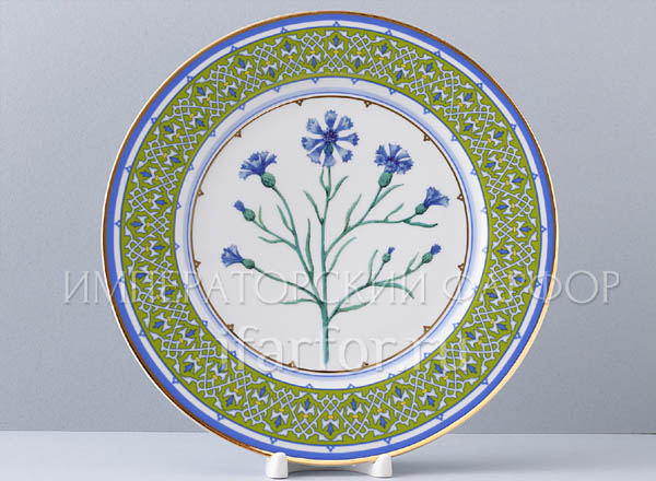 Plate decorative Flowers and berries of Russia. Sky-blue bluet