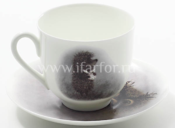 Cup and saucer in a gift box Owl. Hedgehog in the fog Lily of the valley