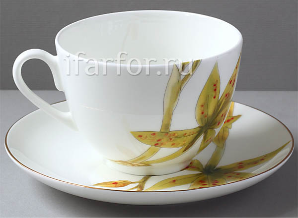 Cup and saucer tea Yellow orchid Spring