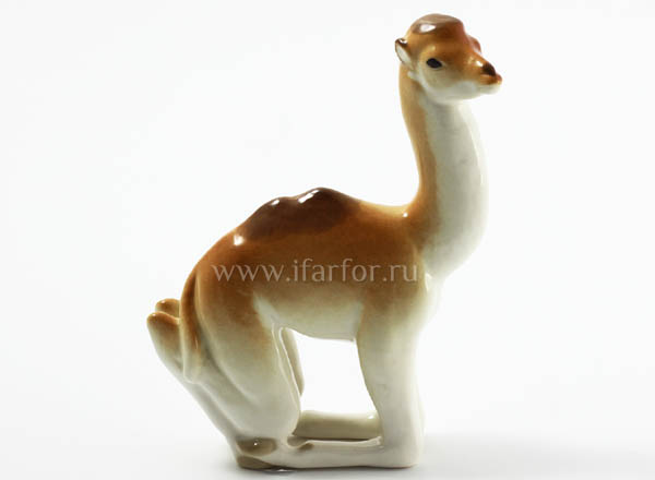 Sculpture Baby camel Indefined